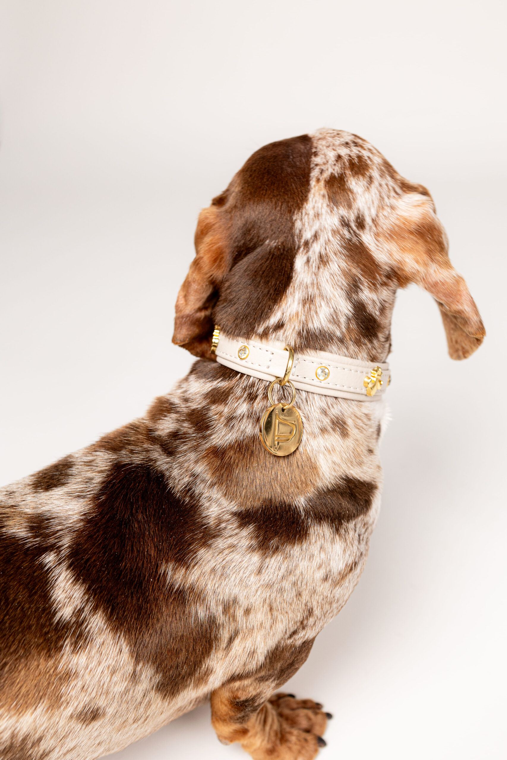 Collar Milano Beige - Imagen 7