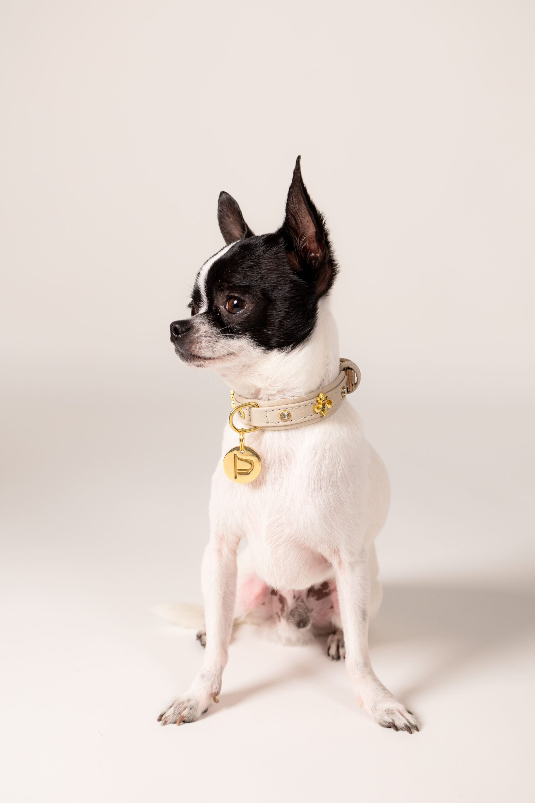 Collar Milano Beige - Imagen 6